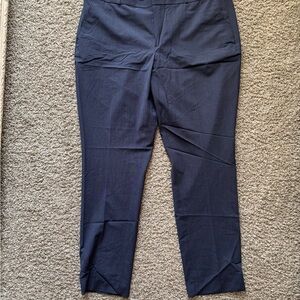 Banana Republic Ryan 18Long Navy Blue Pant